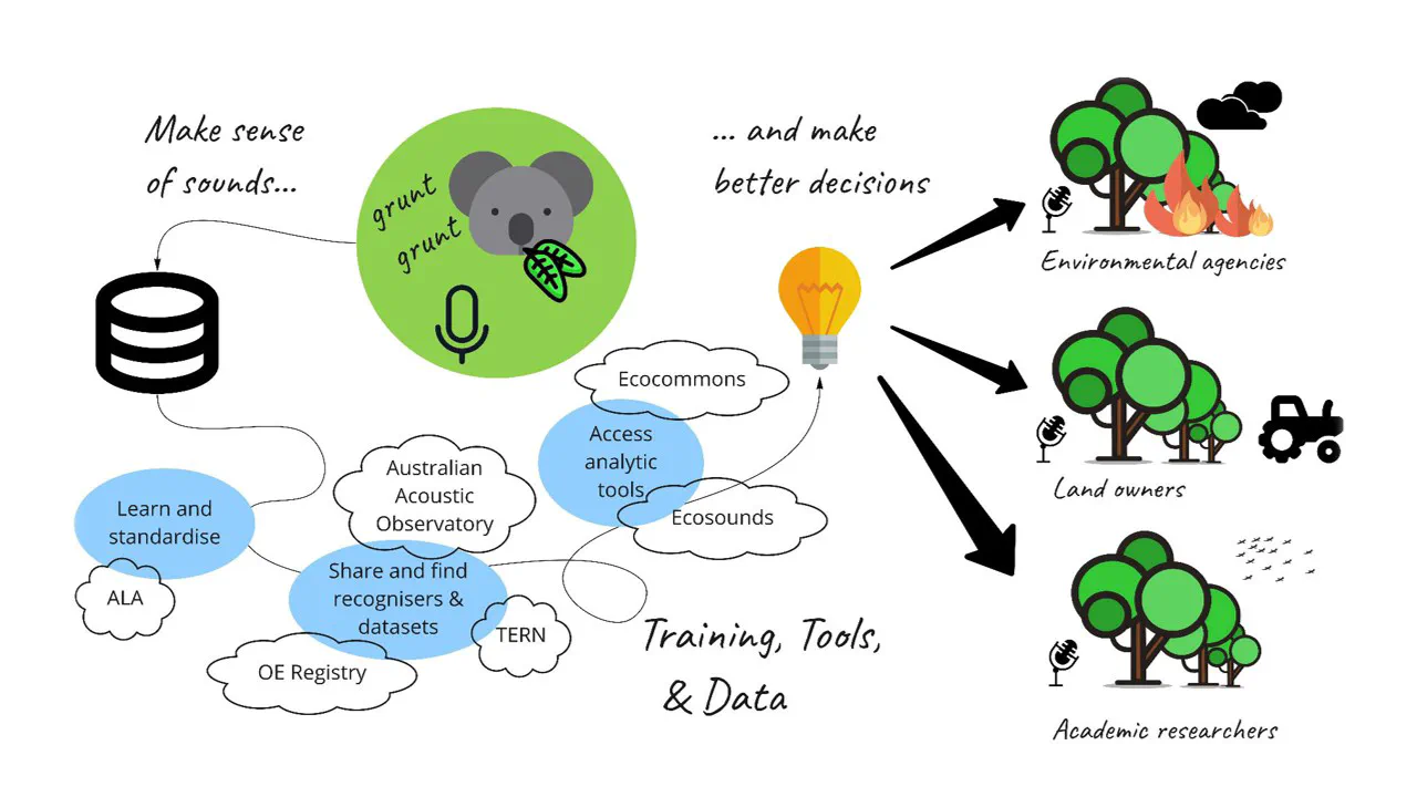 Open Ecoacoustics training, tools, and data connect environmental sound recordings with better decisions by environmental agencies, landowners, and researchers.