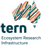 TERN