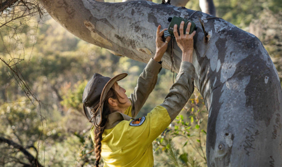 Dr Liz Znidersic uses Open Ecoacoustics in her project, Eavesdropping on Wetland Birds. Image: Liz Znidersic.
