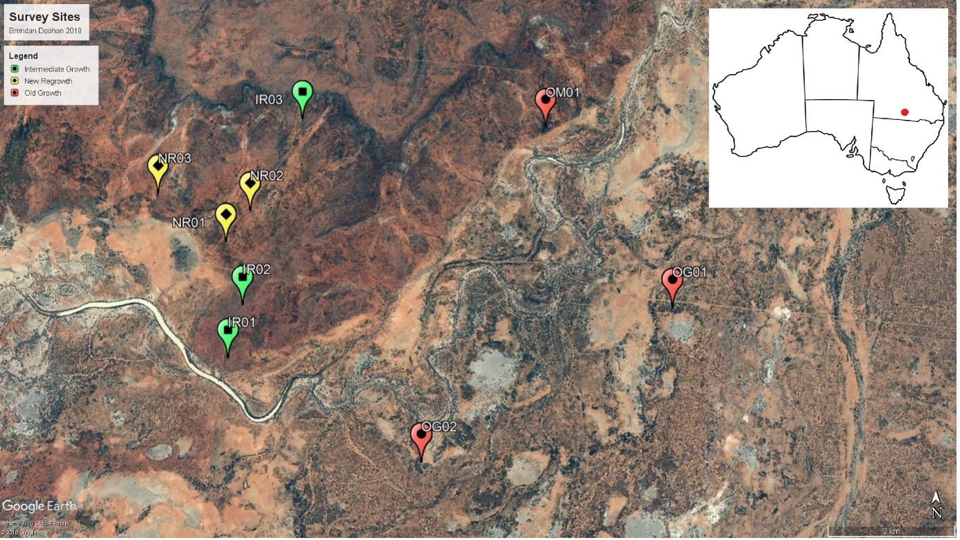 Figure 1: Study site locations represented by pins (yellow: new regrowth, green: intermediate regrowth, red: old growth). Inset map of Australia indicates location of the study area.