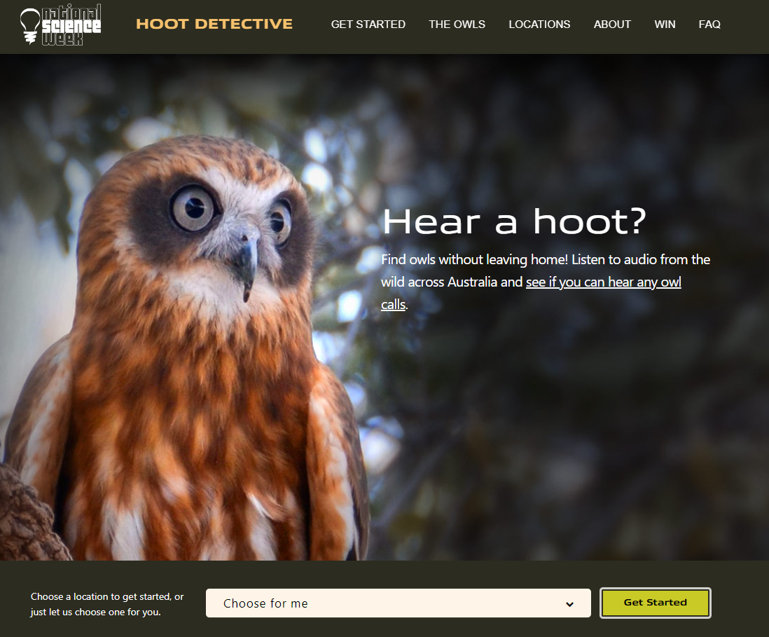 Figure 1: Hoot Detective website.